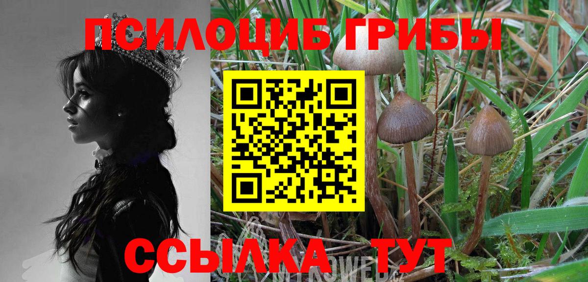 Галлюциногенные грибы мицелий Чернушка