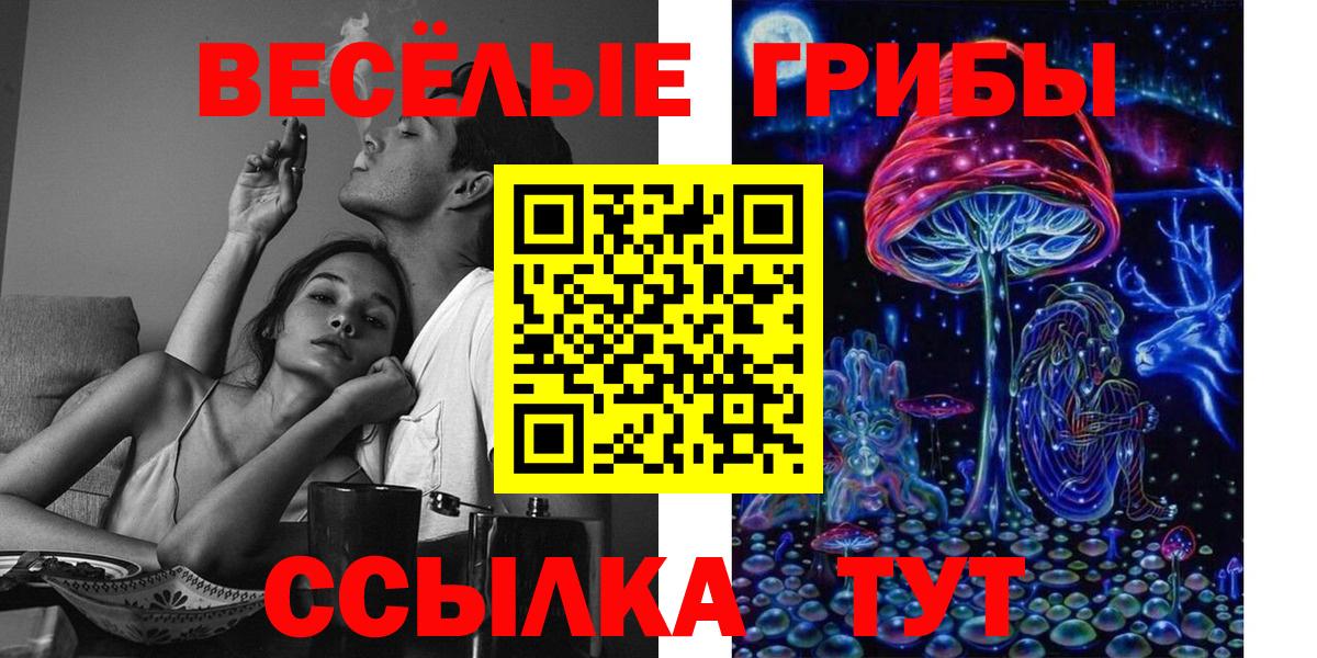 Чернушка  Псилоцибиновые грибы ЛСД  Вход с VPN 
